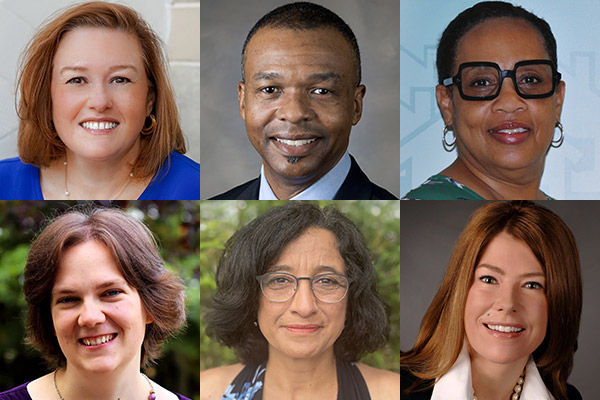 new board members
